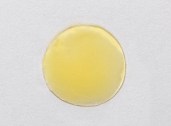 Vitamin C Green Tea Serum / Triple C Serum